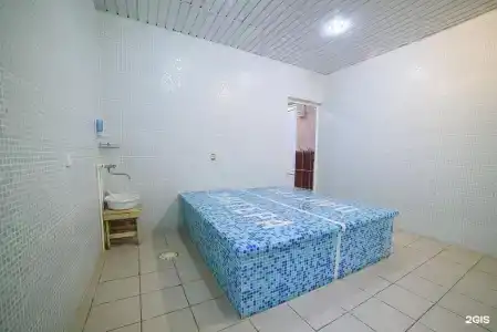 Пантера - 8