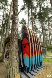 Тихий Лес - 8