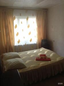 Центральная - 101