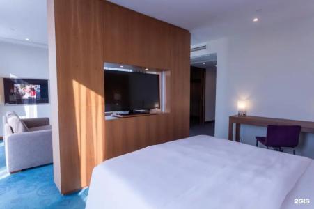 Radisson Blu Hotel - 110