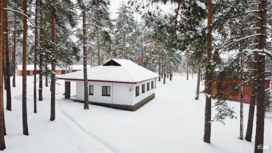 Cosmos Karelia - 105