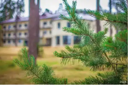 Славянка - 8