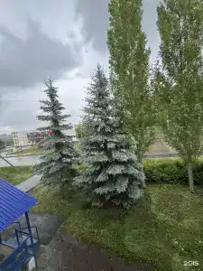 Нур - 6