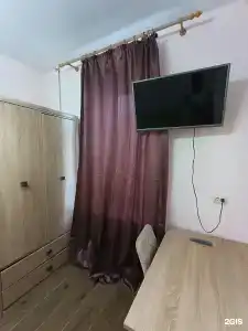 Эвкалипт - 38