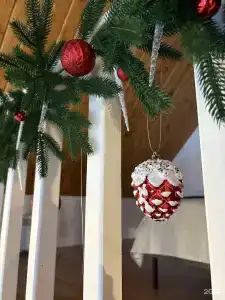 Хвоя - 2