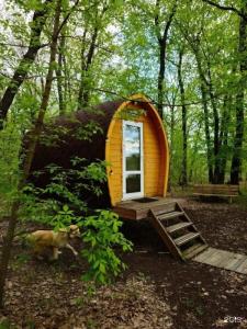 Кемпинг Пискалы - 60