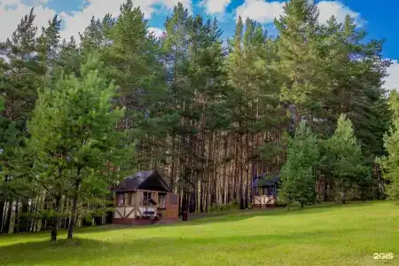 Иволга - 4