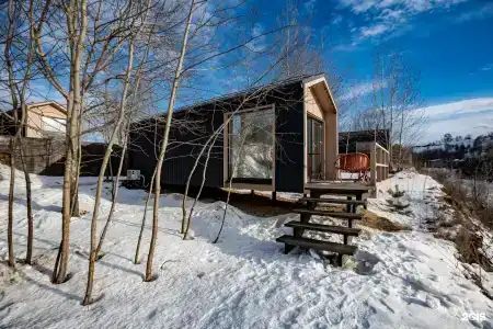 Гнездо мамонта - 33