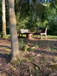 Усадьба Запруднево - 124