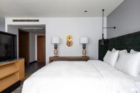 Radisson Blu Hotel - 115