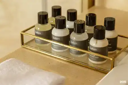 Radisson & Congress Center Saransk - 135