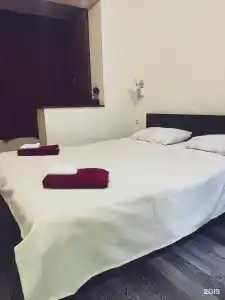 Снегири - 0