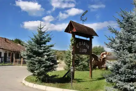 Старый Двор - 10