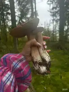 База отдыха на Талабских островах - 11