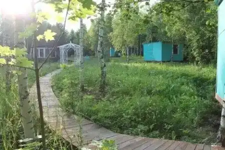 Лесной сон - 49
