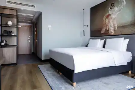 Radisson Blu Hotel - 23