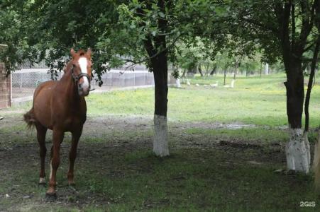 Беной Тревел Озеро - 34