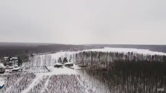 12 месяцев - 10