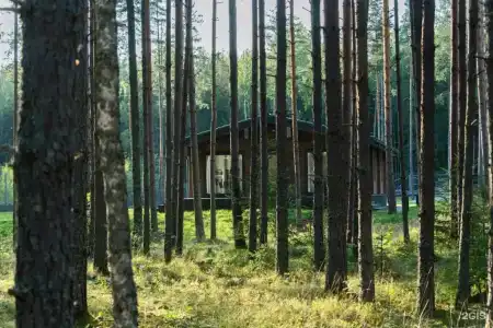 Дома на Сайме - 90