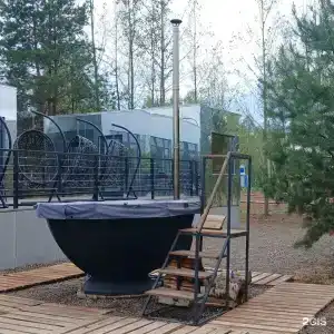 12 сосен - 141