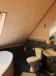 Навигатор - 54