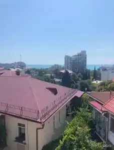Филин - 80