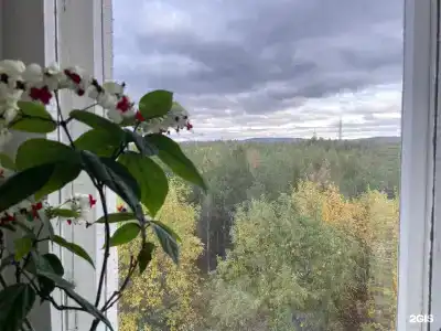 Аэропорт Мурманск - 25