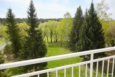 Сосновый бор - 107