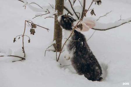 Кроличья нора - 151