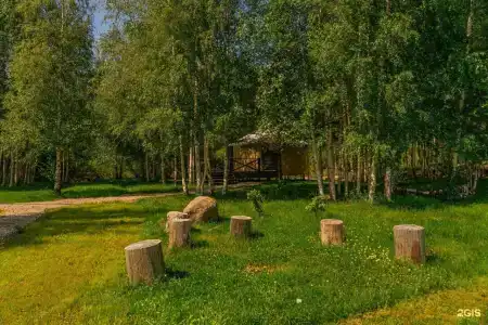 Тишь да Камыш - 34