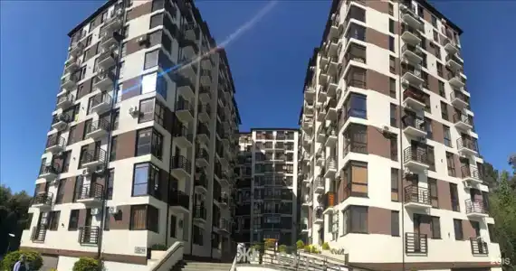Дом Солнца - 259