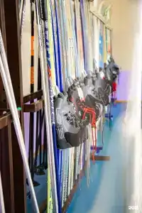 Вишневая поляна - 25