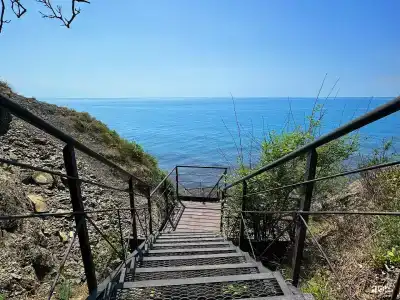 Бетта - 57