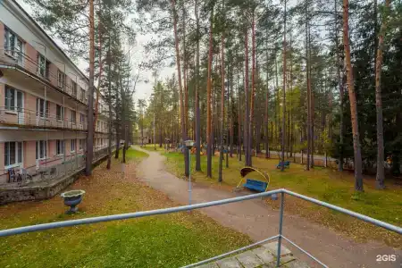 Комарово - 6