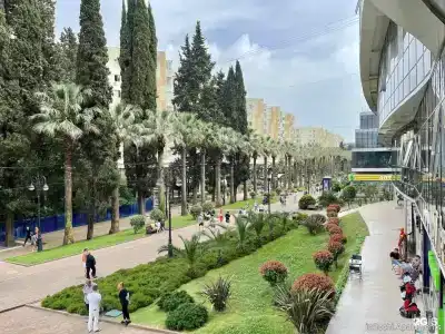 InSochi - 285