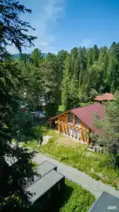 Телецкое Золотое - 189