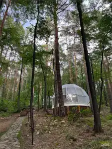 Светлячок - 127