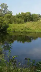 Протва - 2