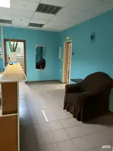 Арго - 4