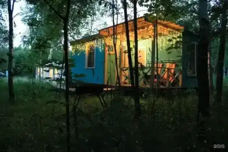 Лесной сон - 90