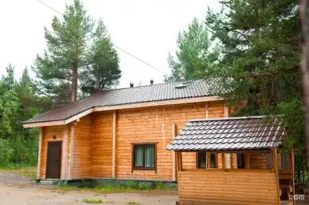Кица ДСС - 20