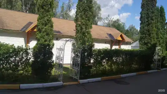 Спутник - 65