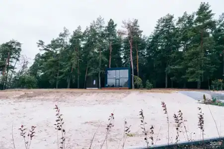 А-Пушкин - 29