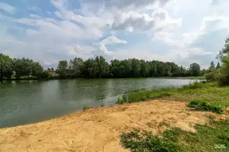 Skandi Белка - 2