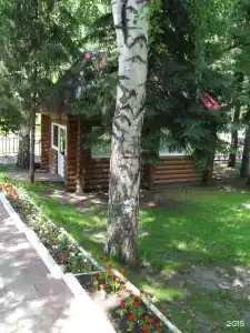 Старые друзья - 13
