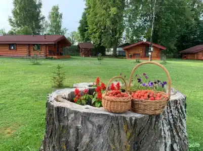 Усадьба Чертолино - 21