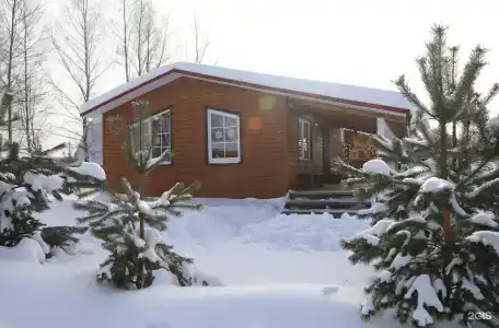Дикий Гусь - 4