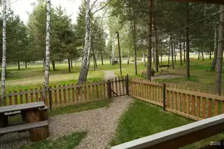 Золотой Куркозель - 27
