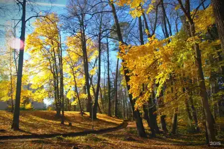 Введенское - 10