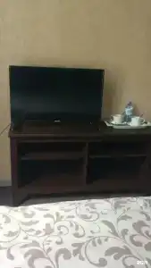 Фикус - 14